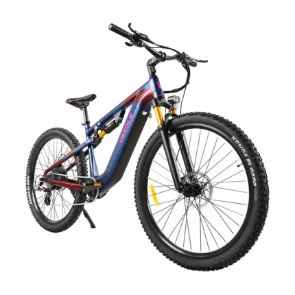 Vakole EMT29 250W 29" VTT Électrique 720Wh VTTAE de Cross-Country