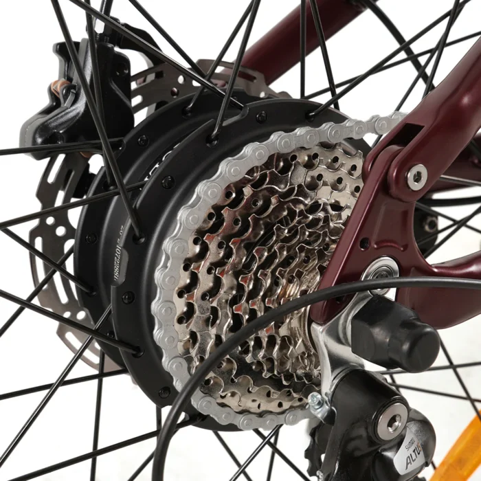 Vakole EMT29 250W 29" VTT Électrique 720Wh VTTAE de Cross-Country – Image 3