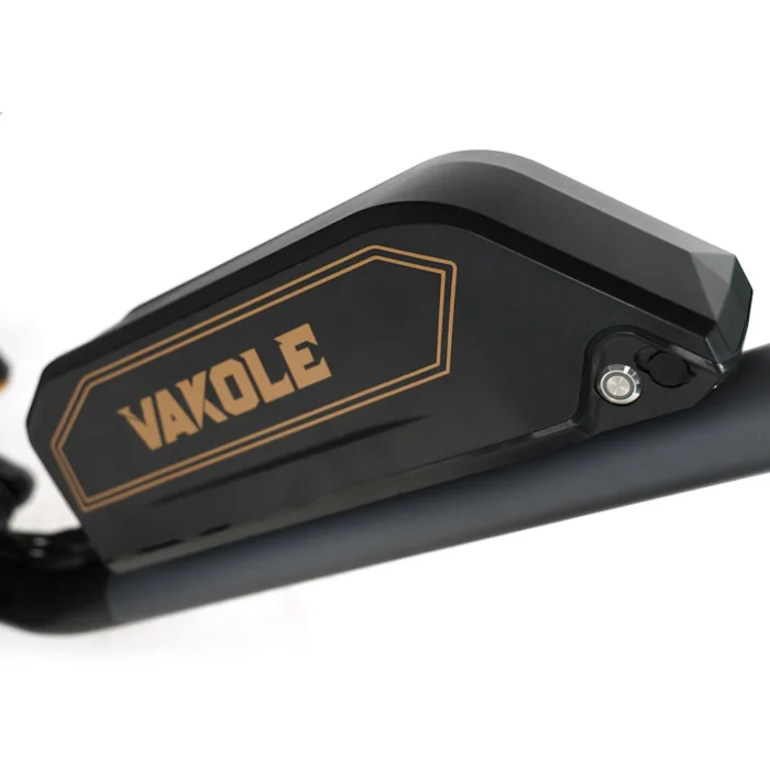 Vakole Q20 750W 20" Fat Bike – Image 7